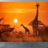 Removable Safari Design with Giraffes for Bedrooms