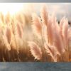 Living Room Mural with Pampas Grass and Meadow Scene